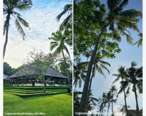 7 Trik Fotografi Mobile: Cara Bikin Foto Keren Pakai HP