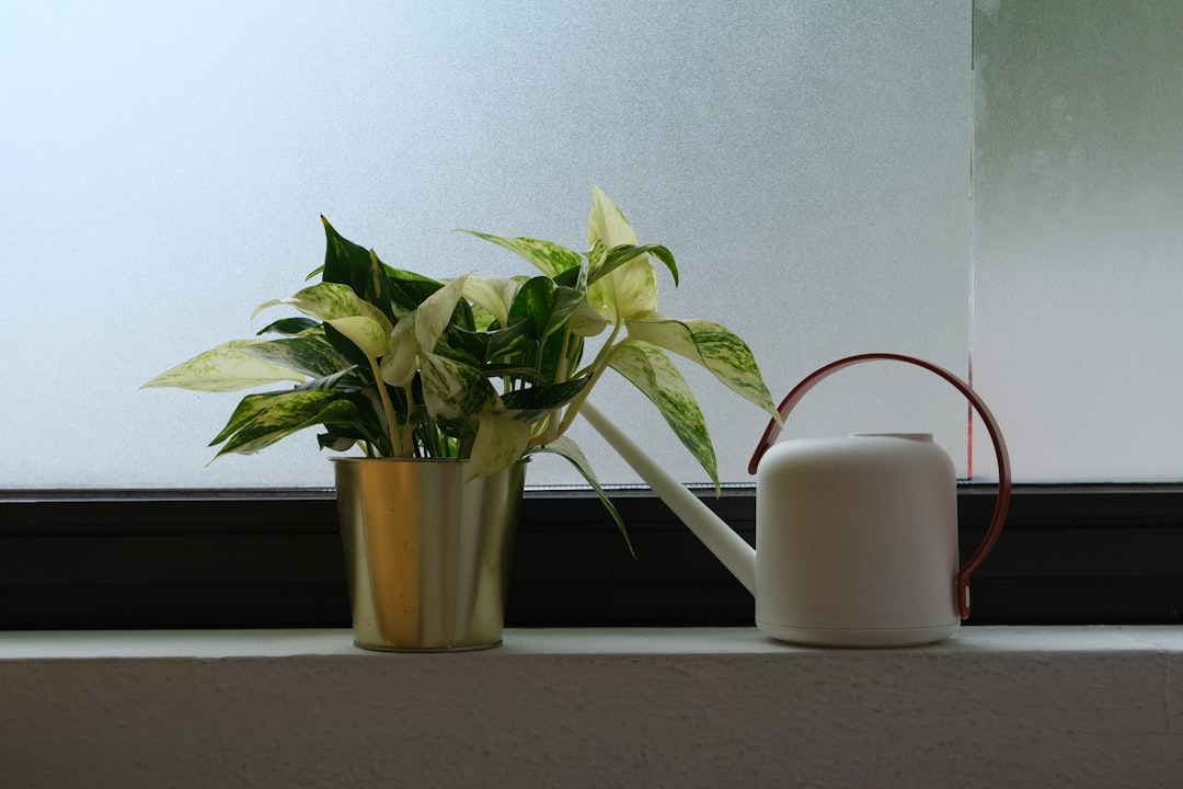 Mesh WiFi vs. WiFi Extender: Mana yang Terbaik untuk Rumah Anda?