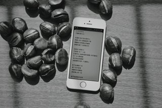 iPhone vs. Android: Mana yang Lebih Pas Buat Gaya Hidupmu?