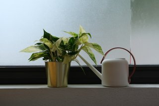 Mesh WiFi vs. WiFi Extender: Mana yang Terbaik untuk Rumah Anda?