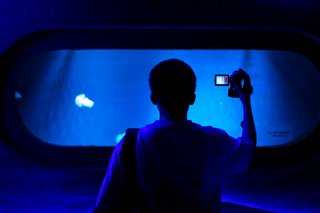 Tren AI di Smartphone: Lebih dari Sekadar Kamera Pintar